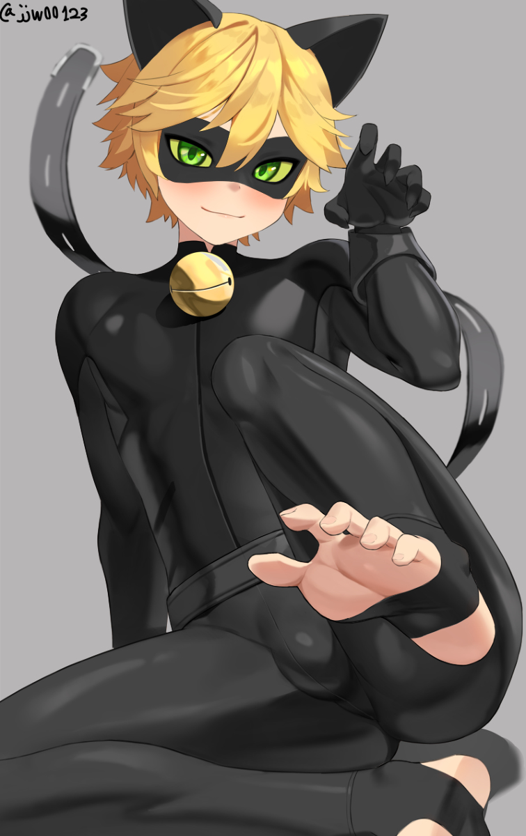 This is a pixiv picture whose title is Cat Noir.