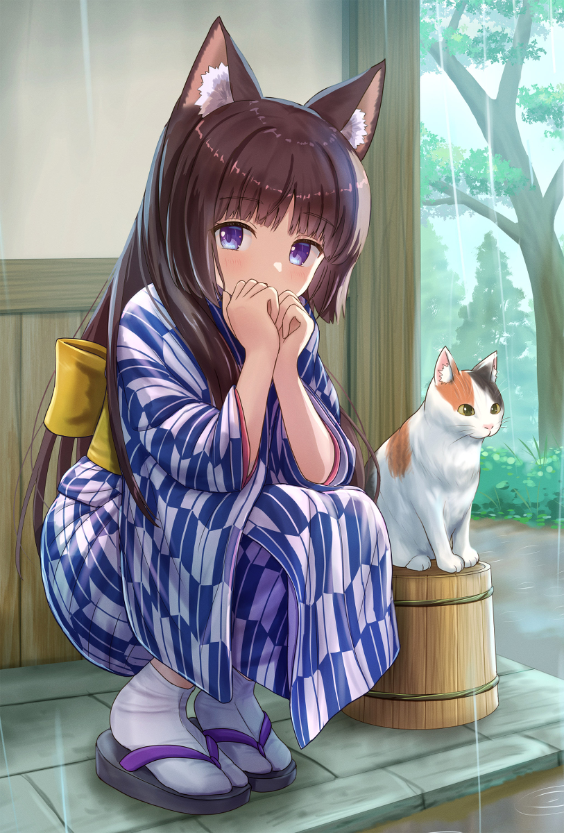 This is a pixiv picture whose title is 猫と雨宿り.