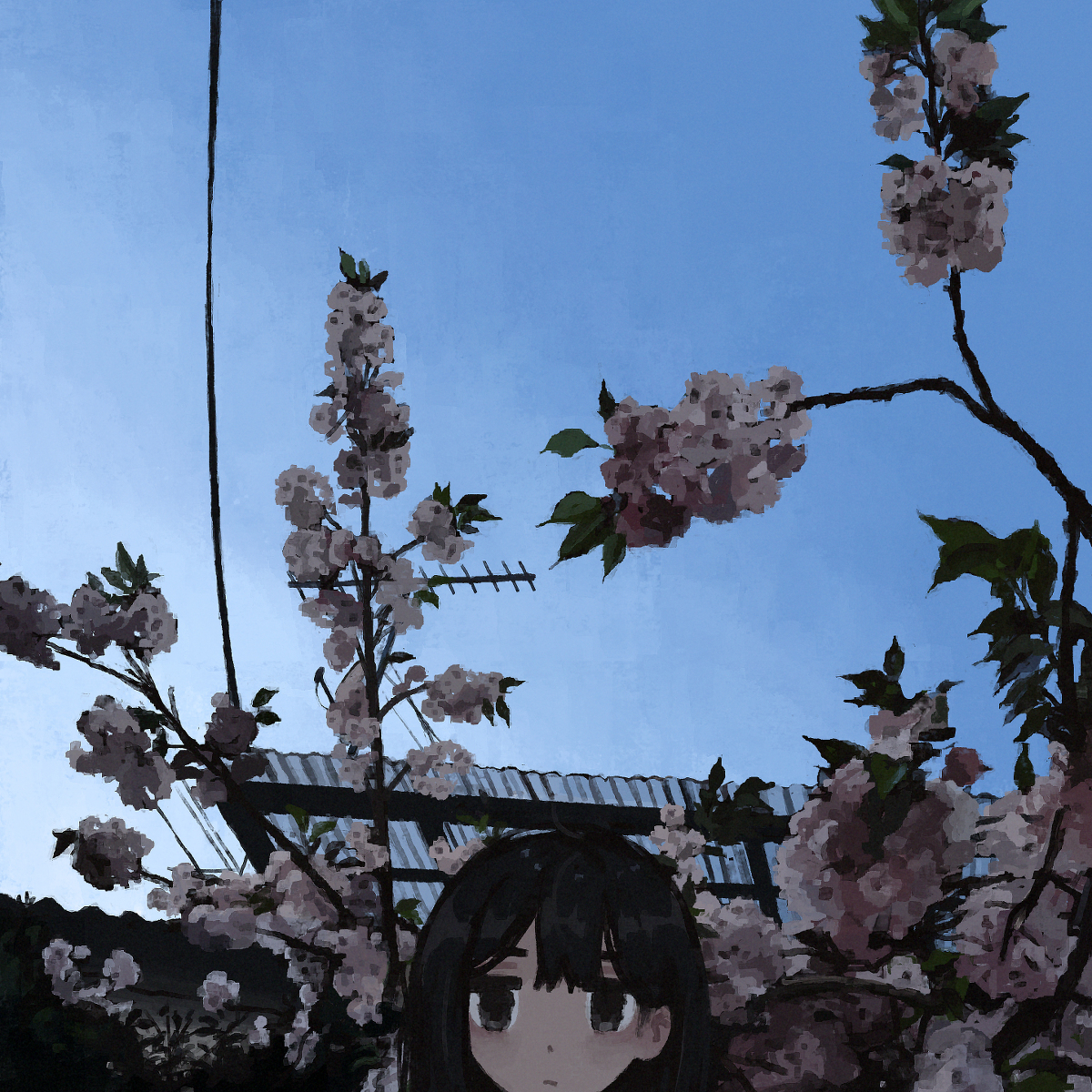 This is a pixiv picture whose title is ふわふわ満開.