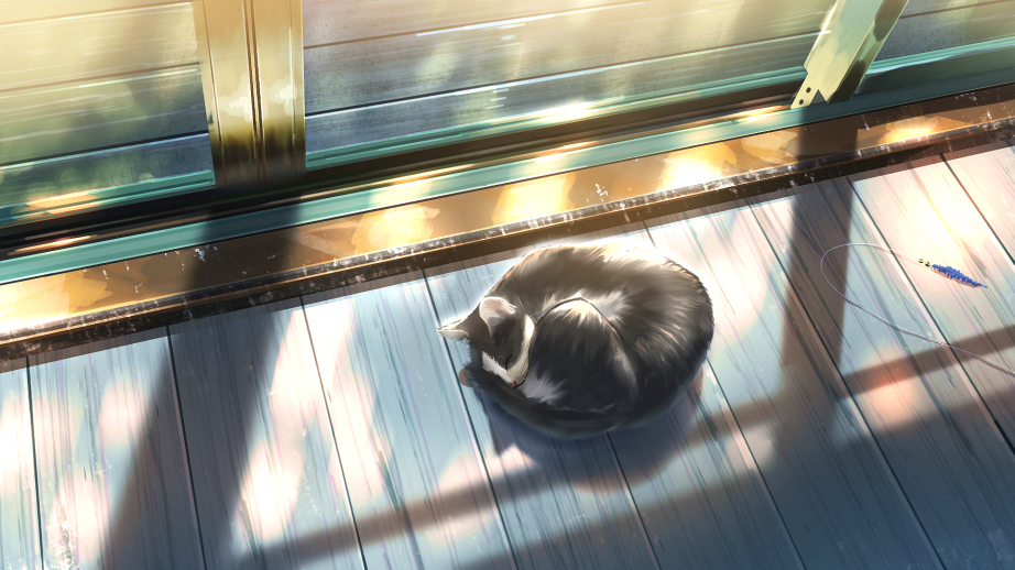 This is a pixiv picture whose title is 窓際と猫.