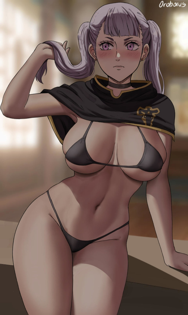 This is a pixiv picture whose title is Noelle.