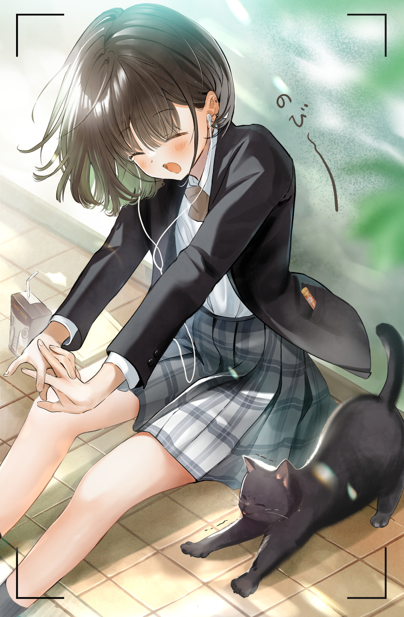 This is a pixiv picture whose title is 「猫と一緒に伸びる写真部の先輩」.