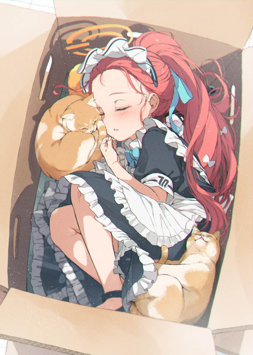 This is a pixiv picture whose title is 花岡ユズと2匹の猫と1匹の….
