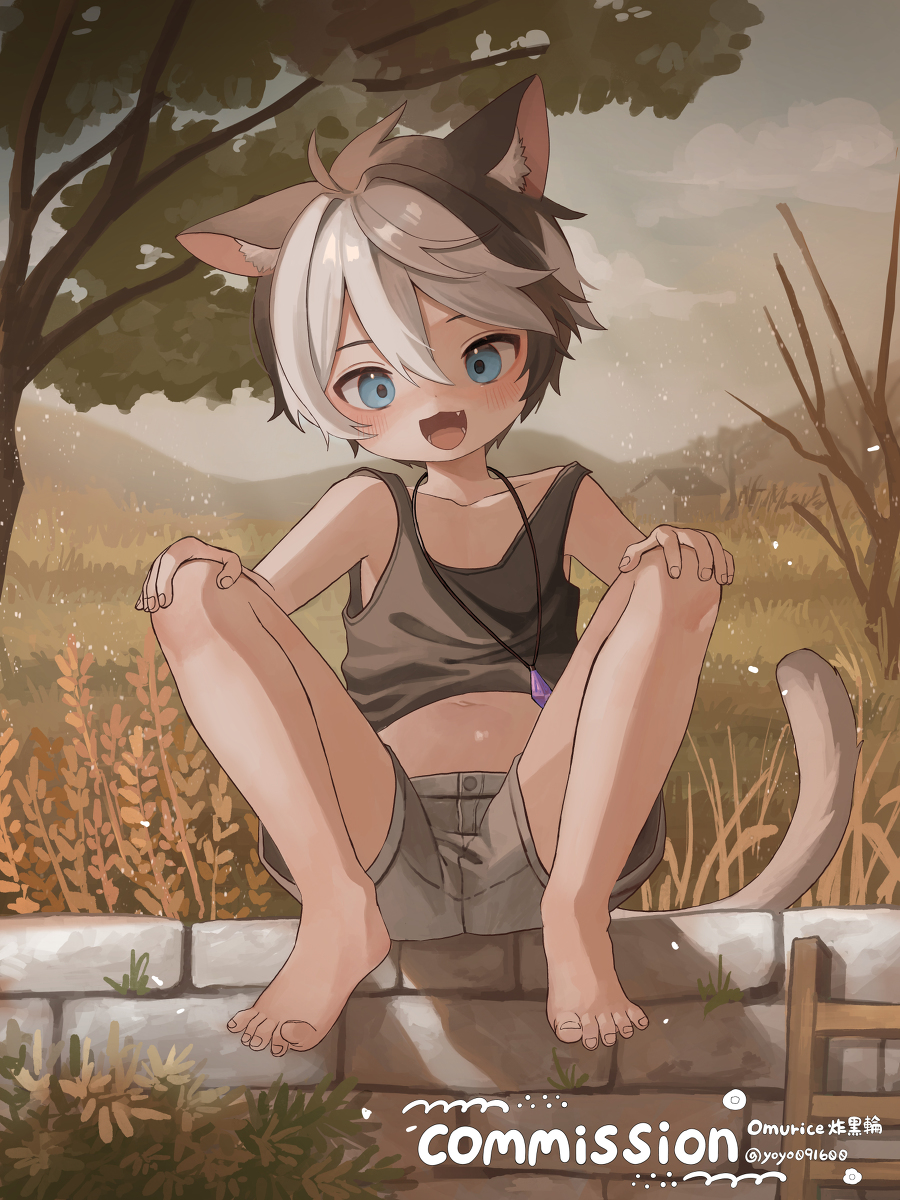 This is a pixiv picture whose title is Commission!.