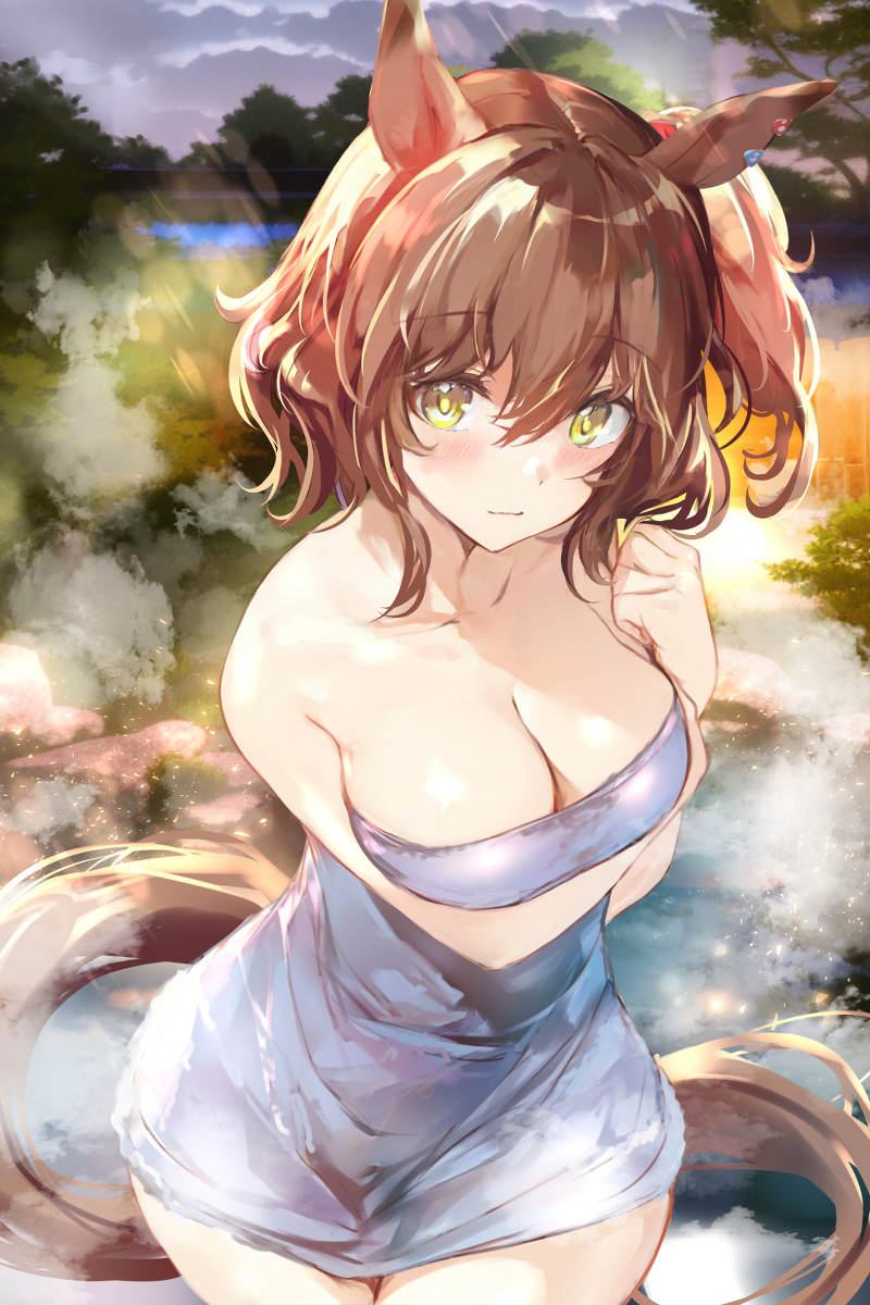 This is a pixiv picture whose title is 温泉マーちゃん.