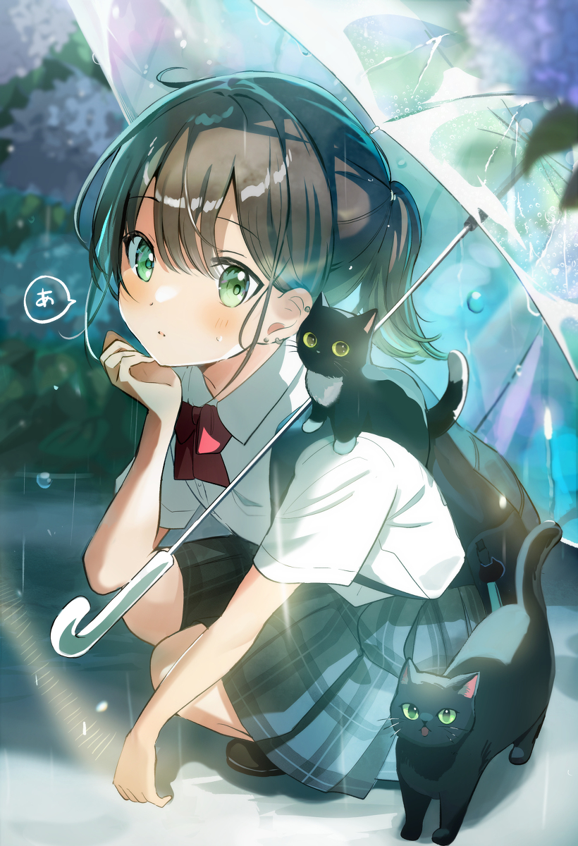 This is a pixiv picture whose title is 「雨があがるまで動けない写真部の先輩」.