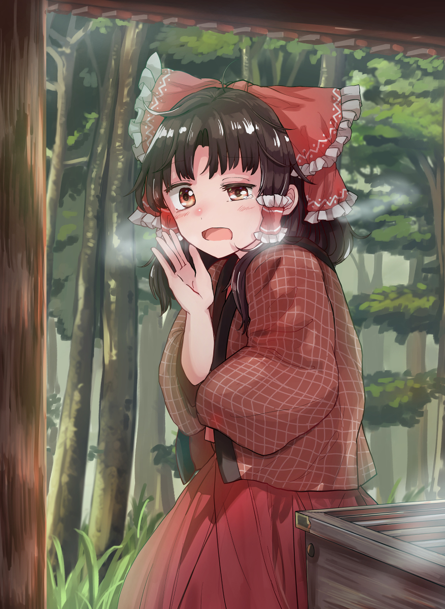 This is a pixiv picture whose title is 早朝の博麗神社に行くと寝起きの巫女様が見られるらしい.