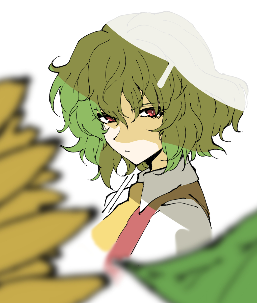 This is a pixiv picture whose title is 東方２、ふ～どさん.