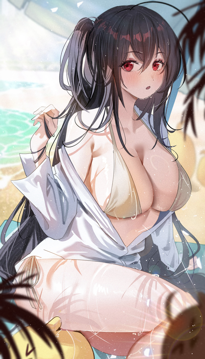 This is a pixiv picture whose title is 大鳳.