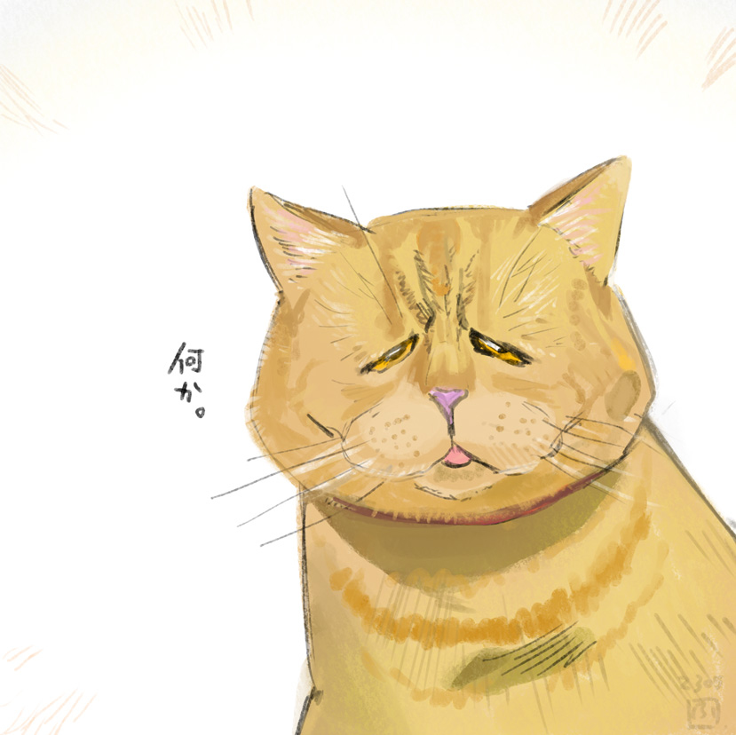 This is a pixiv picture whose title is すっごい垂れ目の猫.