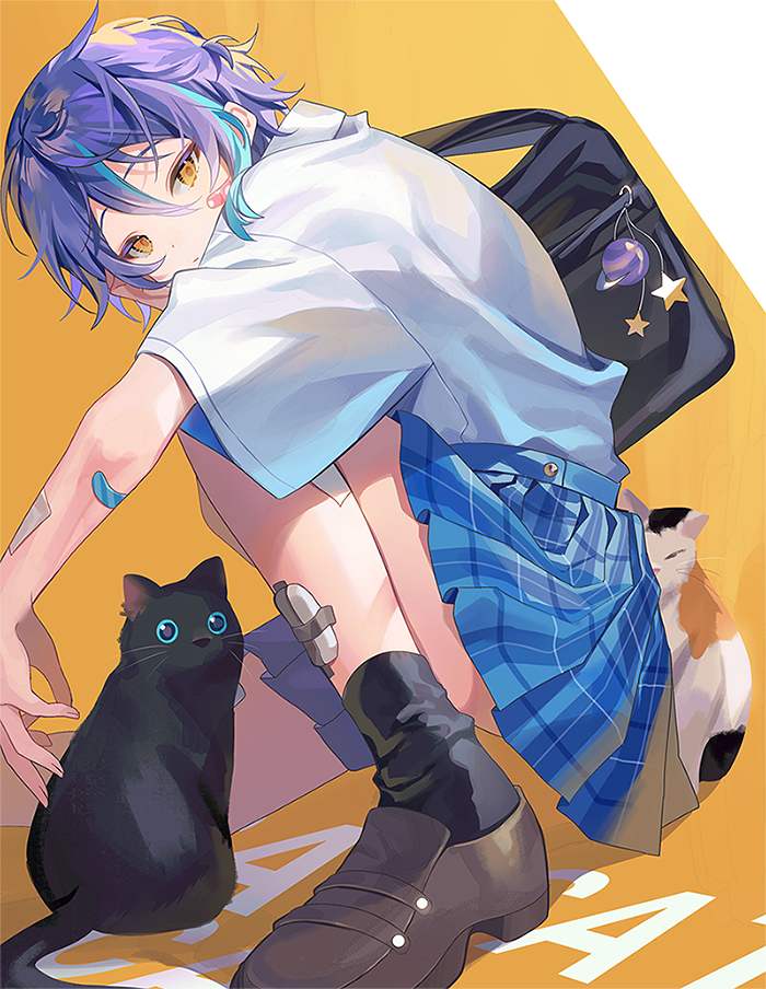 This is a pixiv picture whose title is 猫.