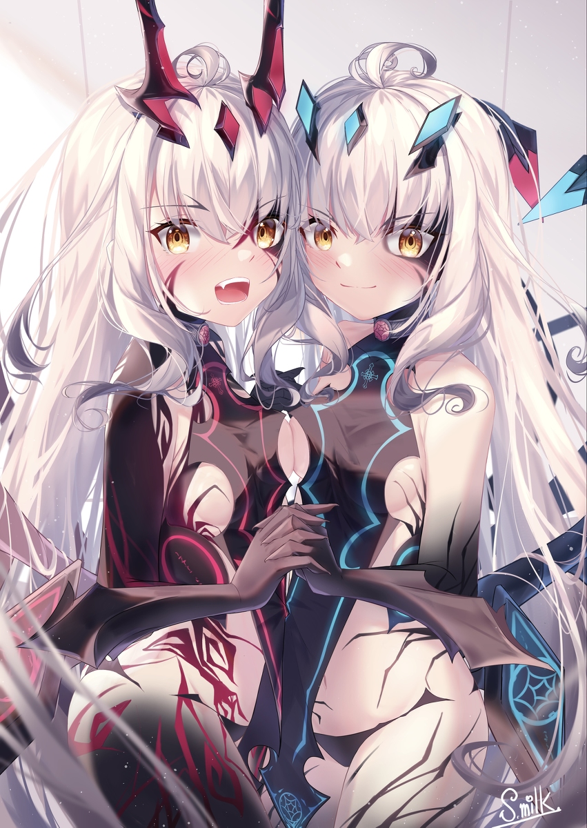 This is a pixiv picture whose title is 目が覚めるとメリュが2人になってました.