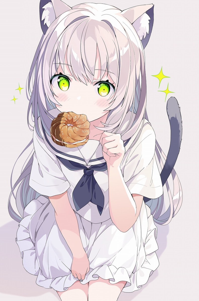 This is a pixiv picture whose title is 🐱🍩✨.