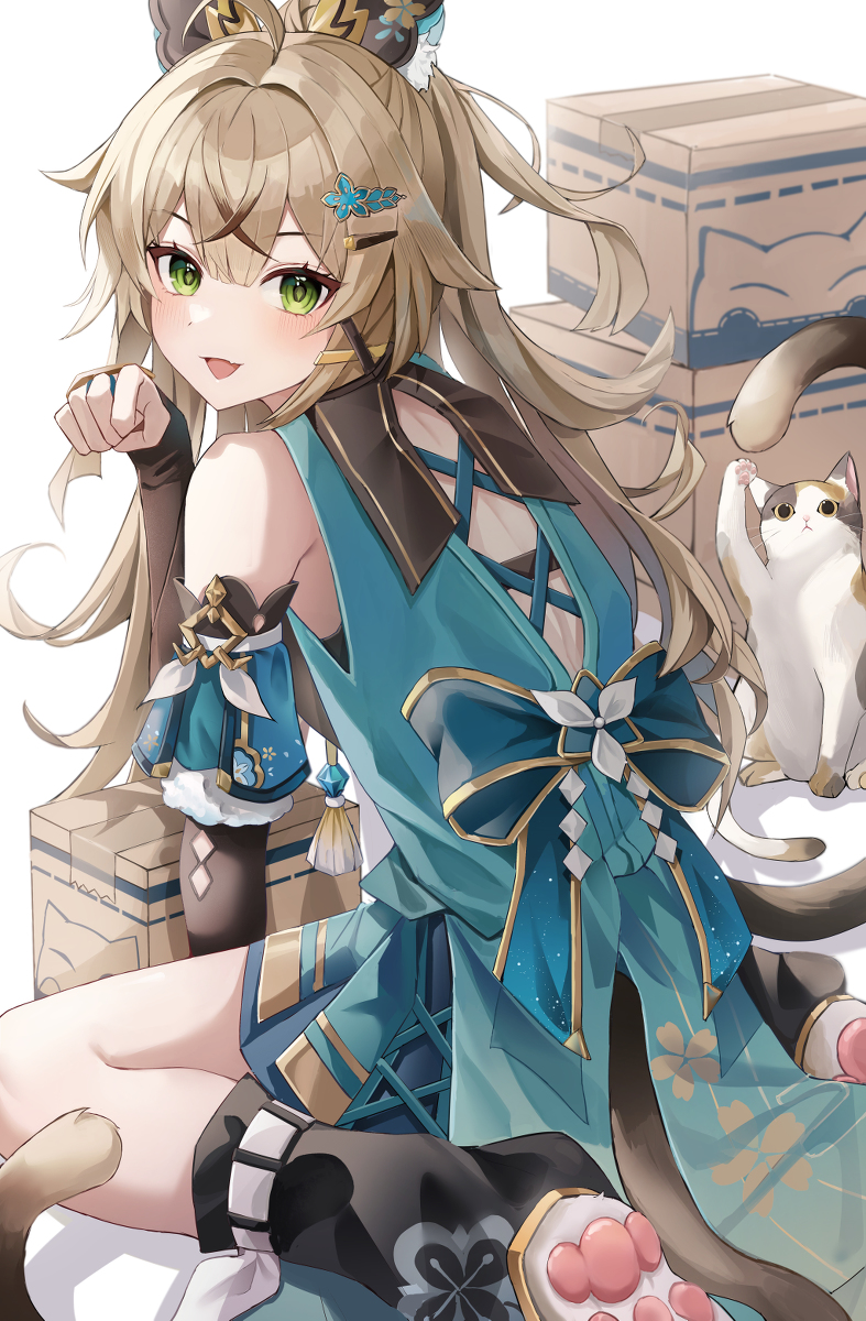 This is a pixiv picture whose title is 🐈📦.