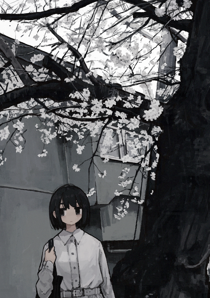 This is a pixiv picture whose title is FANBOXはじめます.