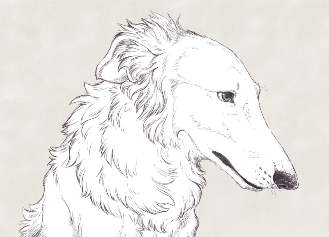 This is a pixiv picture whose title is わんこセット.