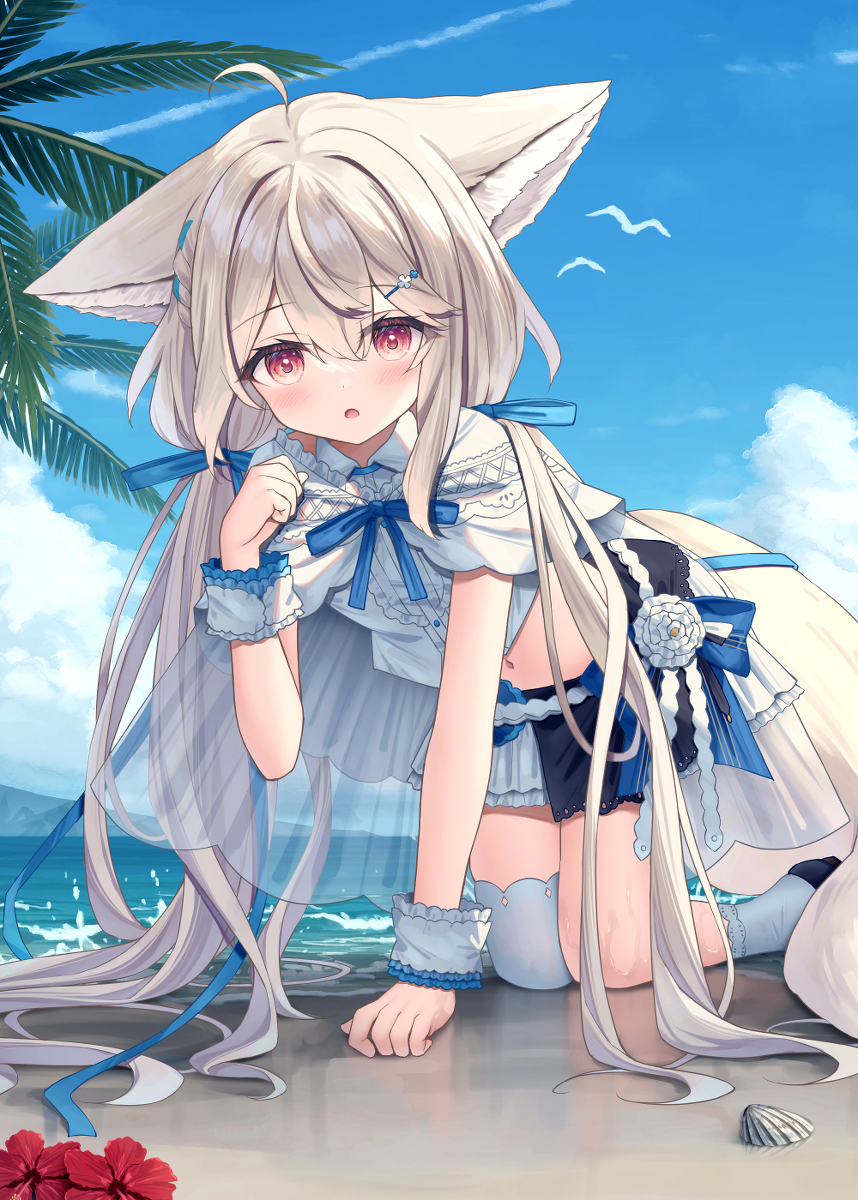 This is a pixiv picture whose title is 桜田シロちゃん.
