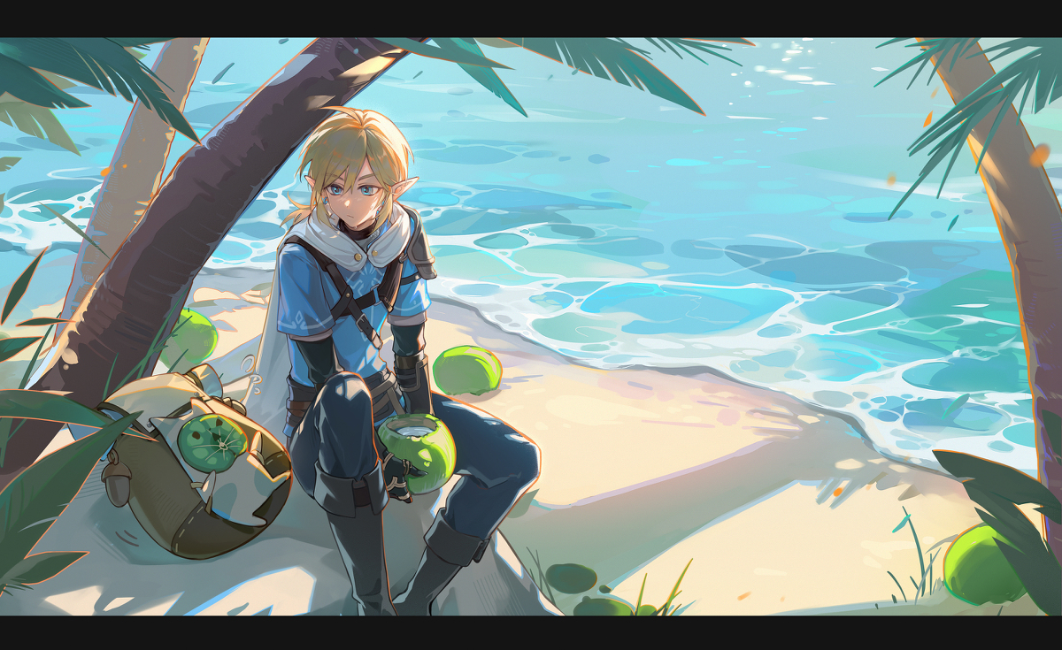 This is a pixiv picture whose title is 【塞尔达传说】林克.
