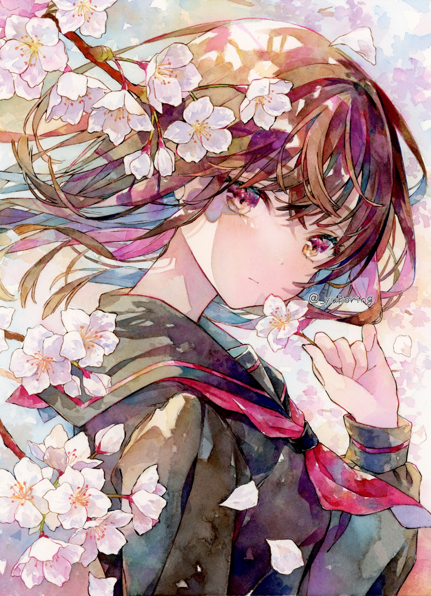 This is a pixiv picture whose title is 透明水彩＊桜.