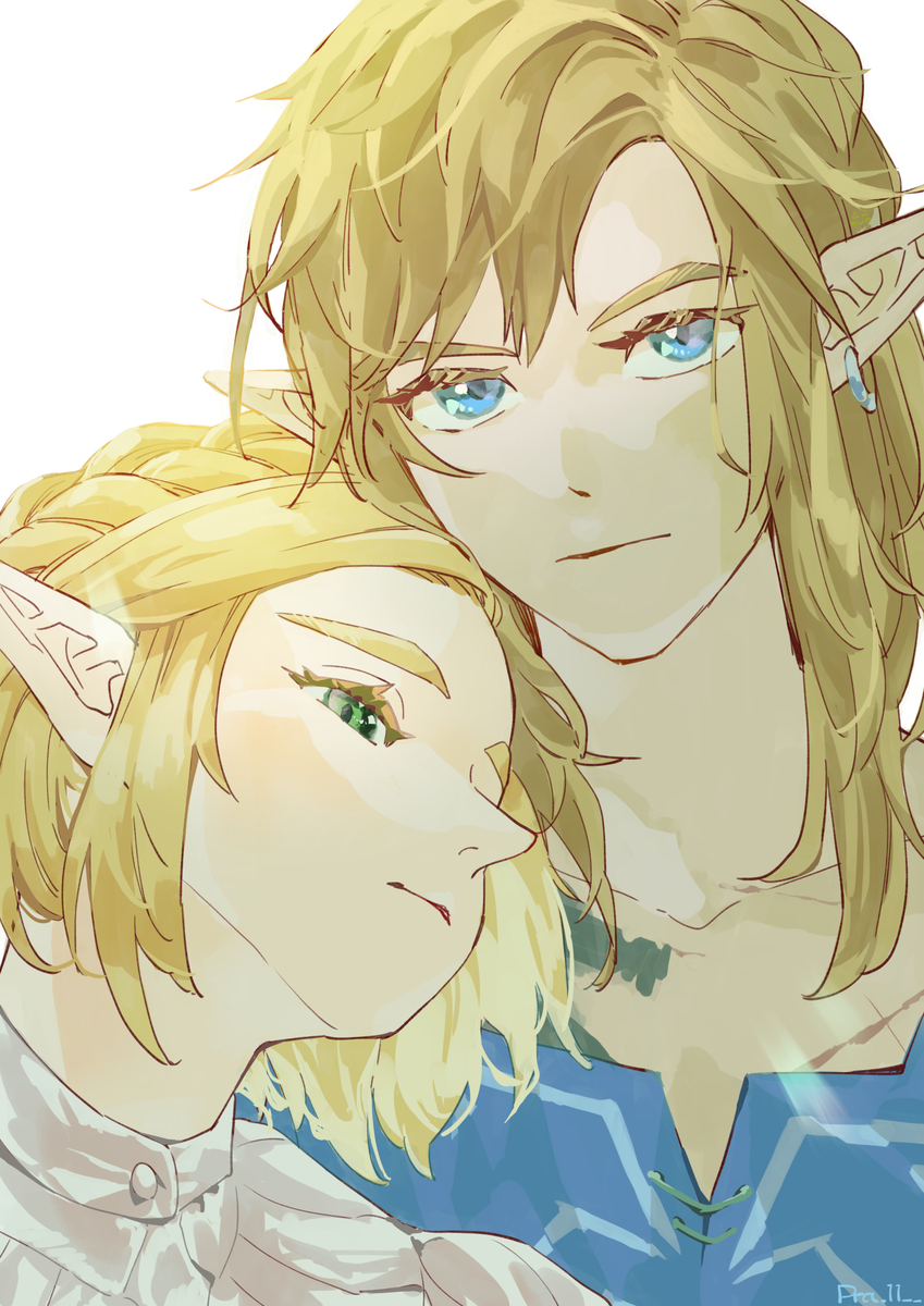 This is a pixiv picture whose title is バディ　ティアーズオブザキングダム.