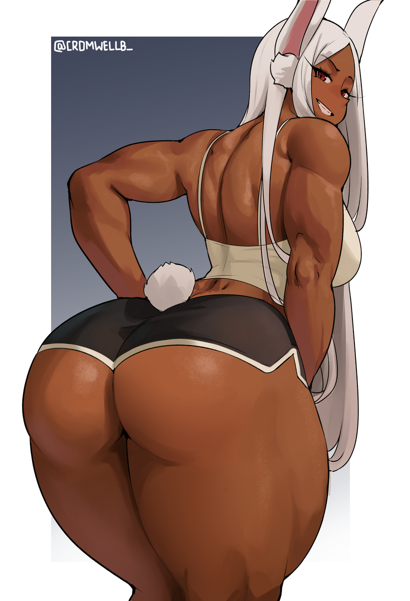 This is a pixiv picture whose title is Mirko.