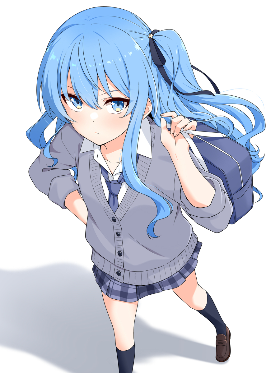 This is a pixiv picture whose title is すいせい番長.