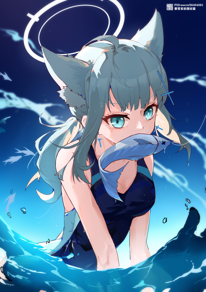 This is a pixiv picture whose title is no18.水着シロコ.