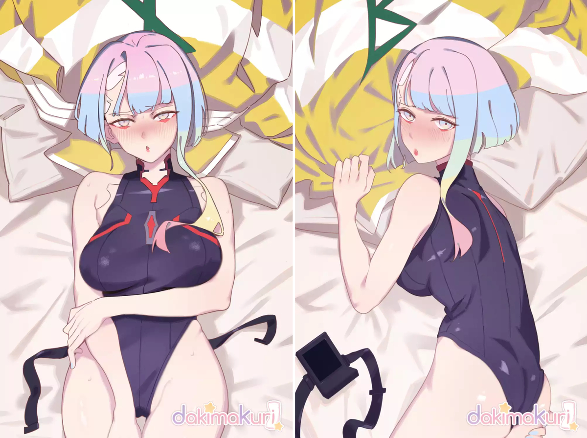 This is a pixiv picture whose title is 🤛🌕🤜Lucy Dakimakura Cover.