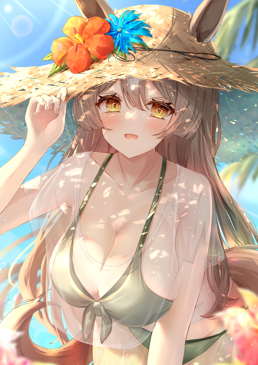 This is a pixiv picture whose title is 【C102告知】水着ダイヤちゃん！.