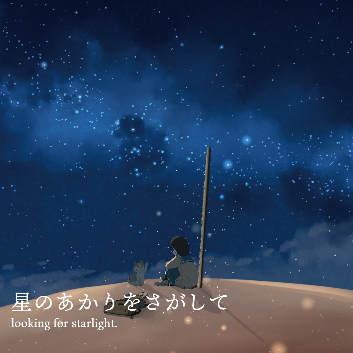 This is a pixiv picture whose title is 星のあかりをさがして.