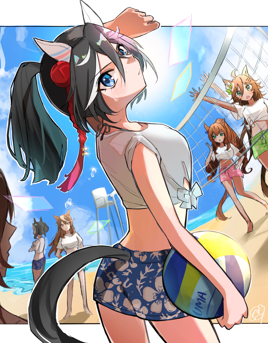 This is a pixiv picture whose title is 夏の海辺にて(エースver.).