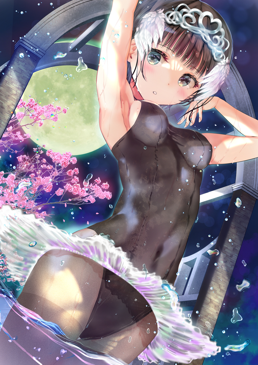 This is a pixiv picture whose title is 月夜のバレリーナさん.