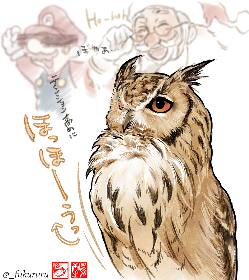 This is a pixiv picture whose title is 「フクロウ豆知識まとめ」+書籍化お知らせ.