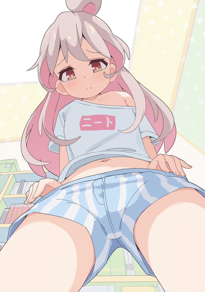 This is a pixiv picture whose title is explore(?).