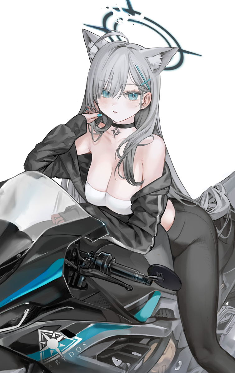 This is a pixiv picture whose title is クロコ（ライディング）.