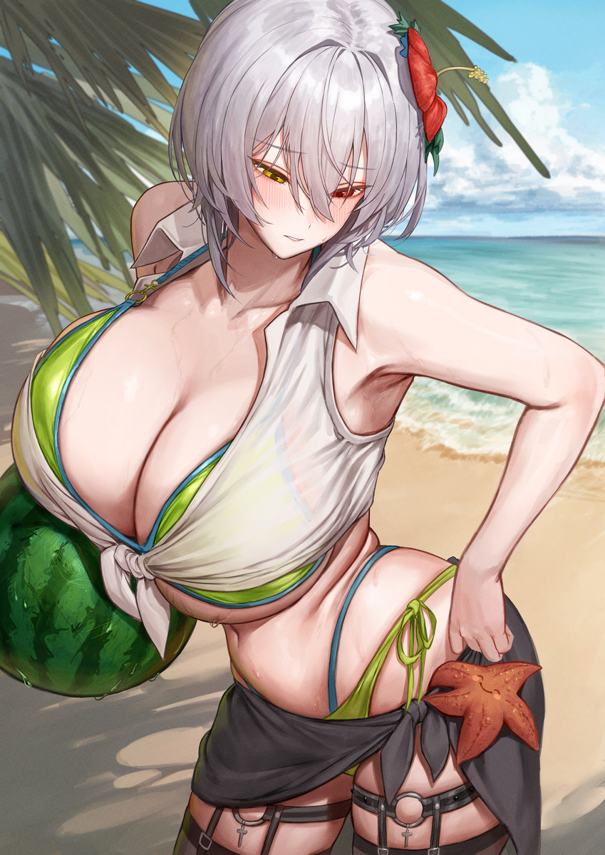 This is a pixiv picture whose title is アリシアちゃん　濡れ透け付き.