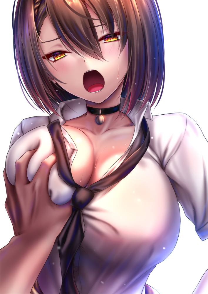 This is a pixiv picture whose title is ボルチモア.