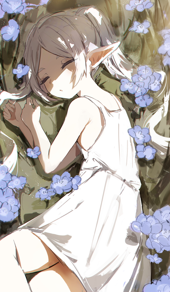 This is a pixiv picture whose title is Frieren.