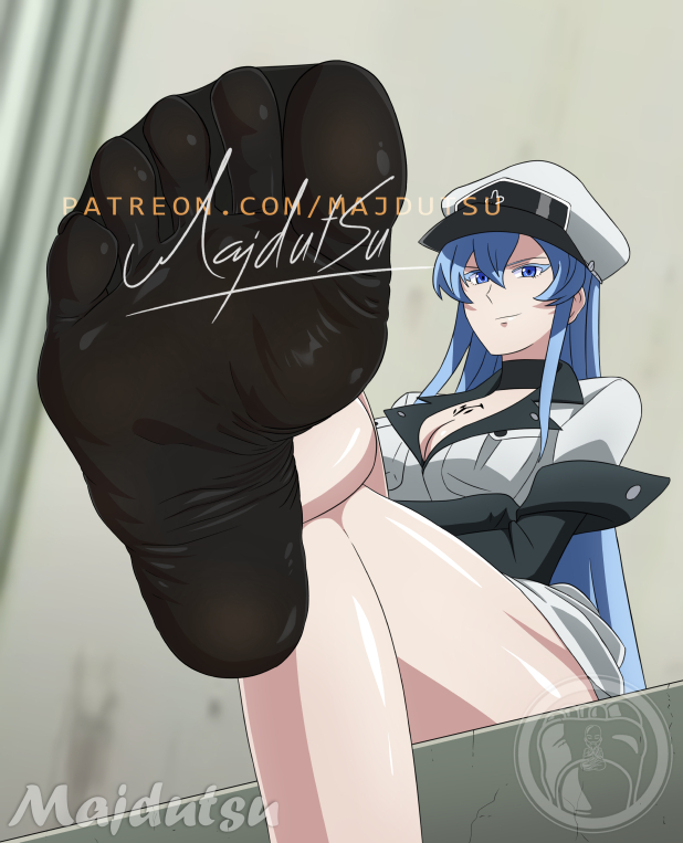 This is a pixiv picture whose title is Esdeath Feet.