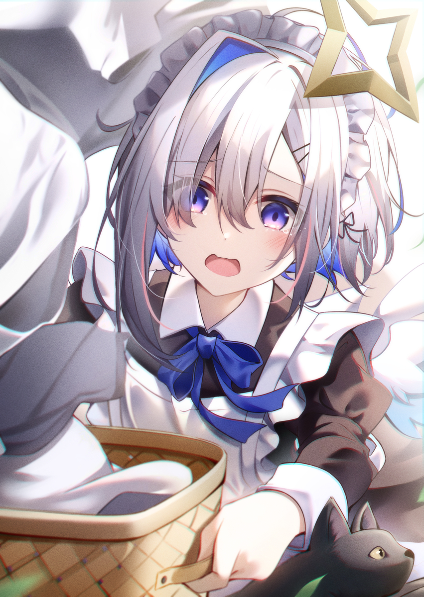 This is a pixiv picture whose title is ドジっ子メイド.