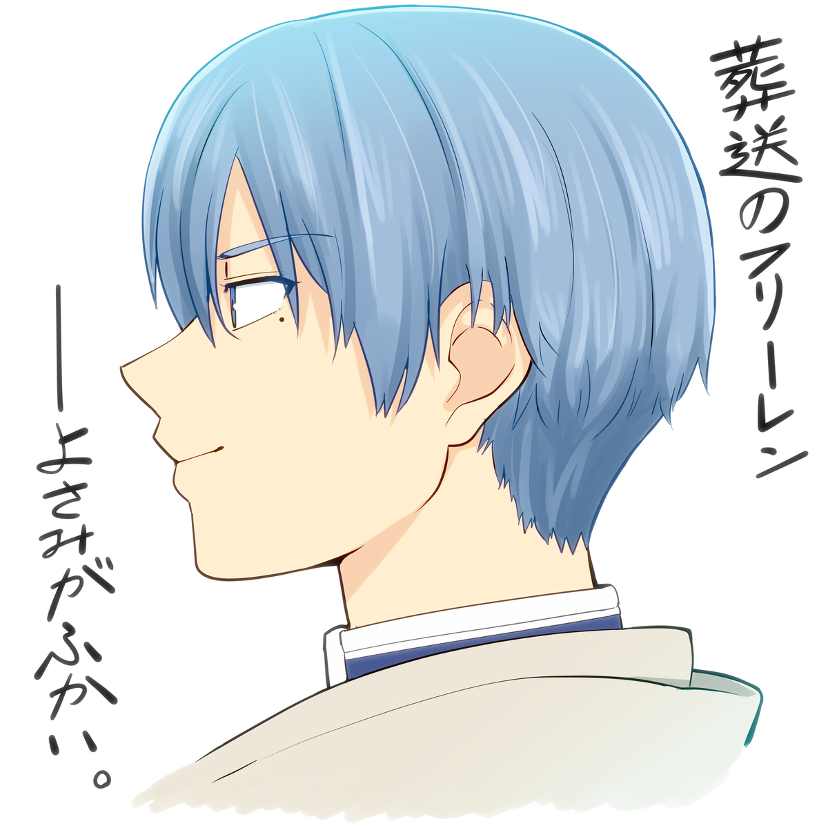 This is a pixiv picture whose title is 葬送のフリーレン見た.