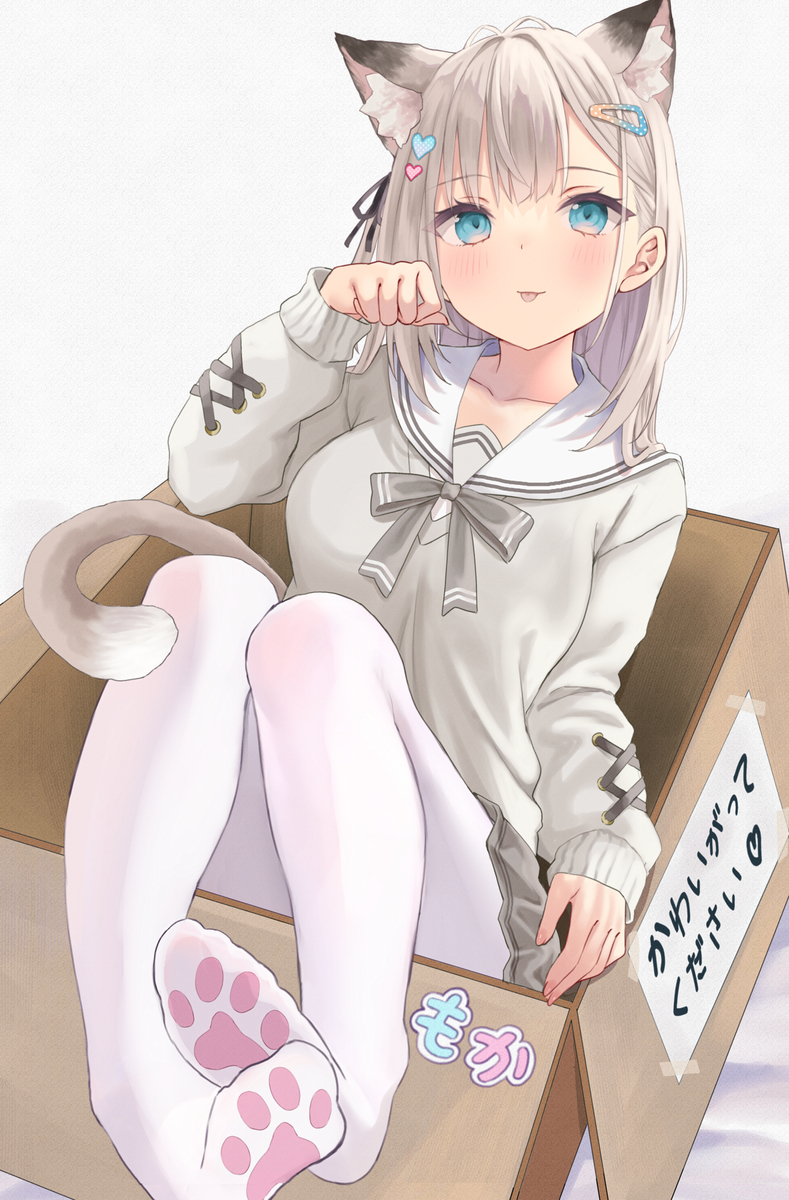 This is a pixiv picture whose title is 箱入りモカちゃん.