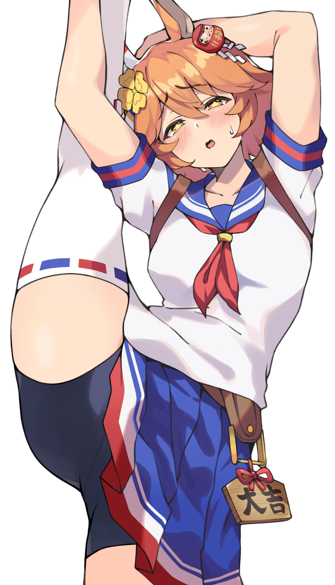 This is a pixiv picture whose title is マチカネフクキタル.