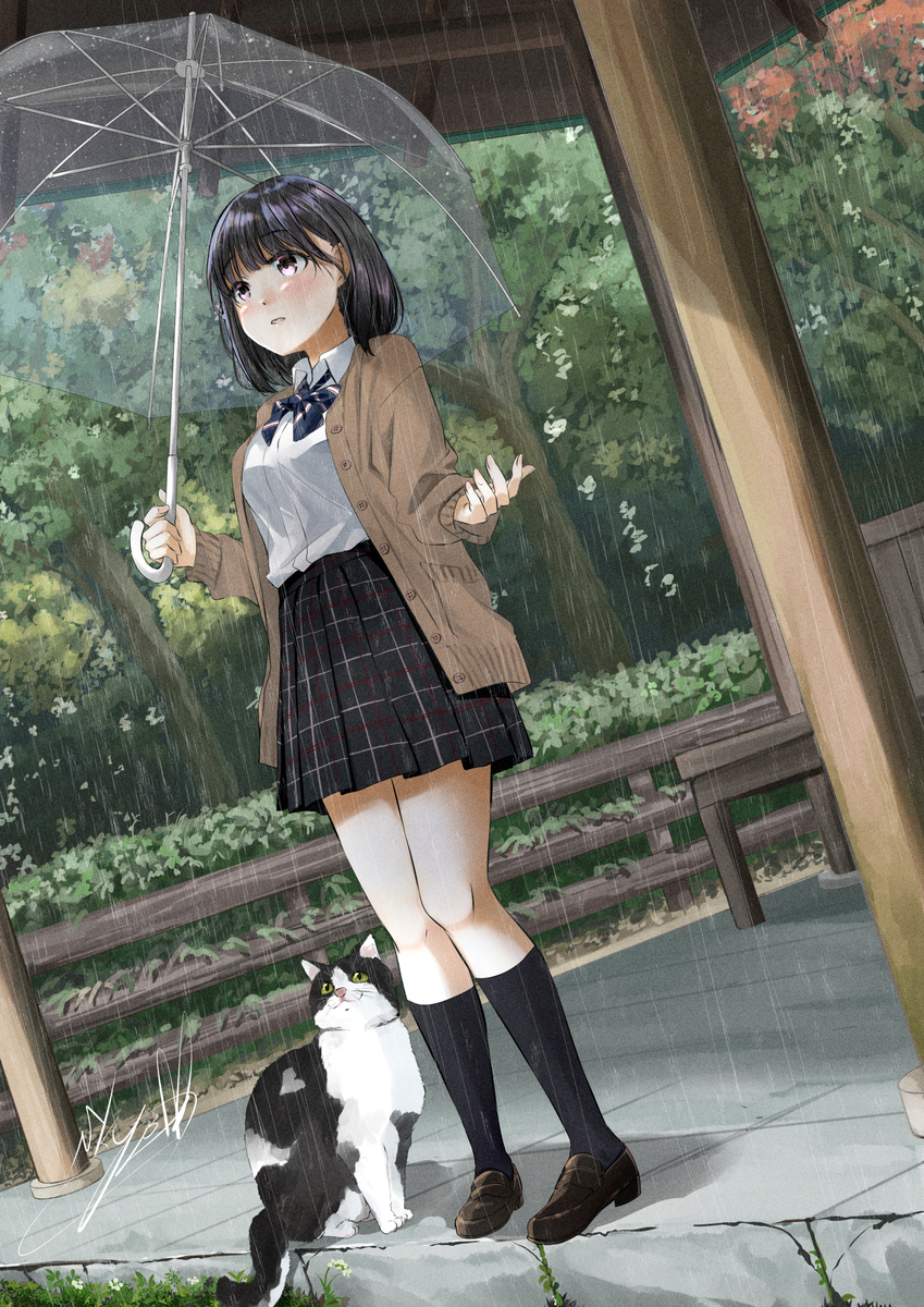 This is a pixiv picture whose title is 秋雨が止むまで.