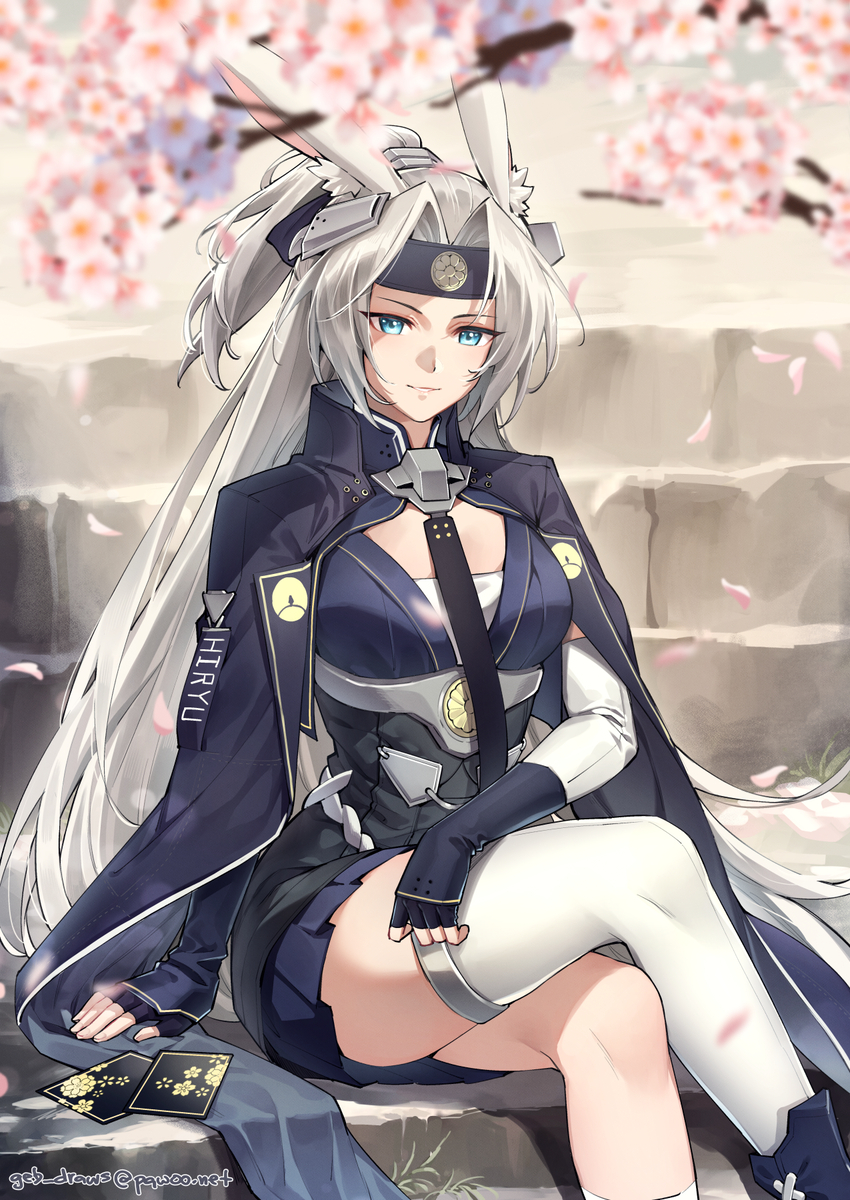 This is a pixiv picture whose title is hiryuu.