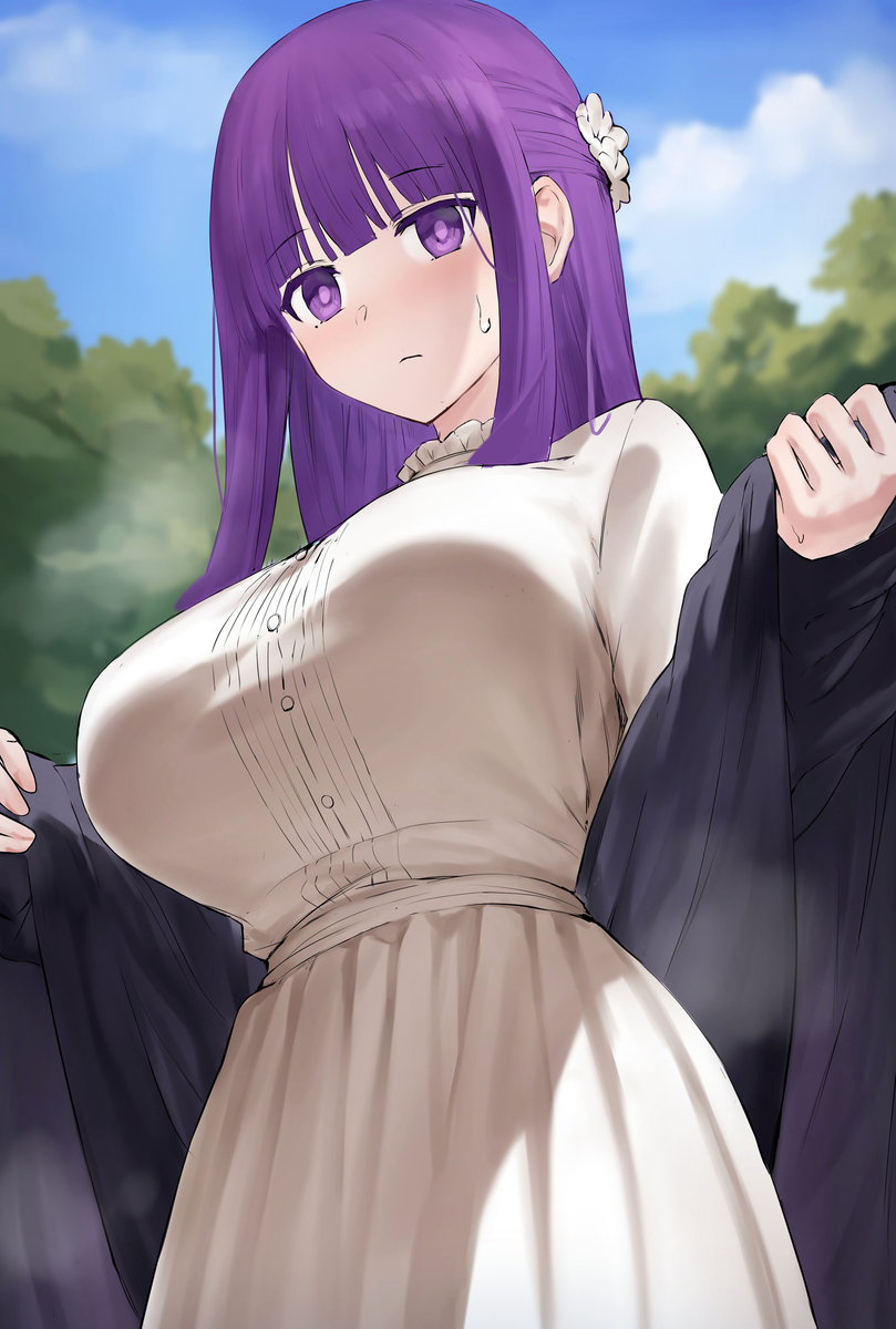 This is a pixiv picture whose title is フェルン.