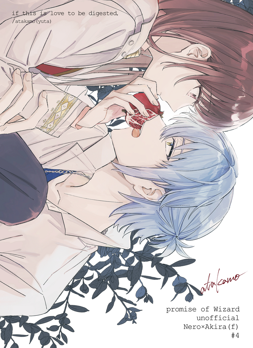 This is a pixiv picture whose title is 【ネロ晶♀】スパーク賢マナ14新刊サンプル.