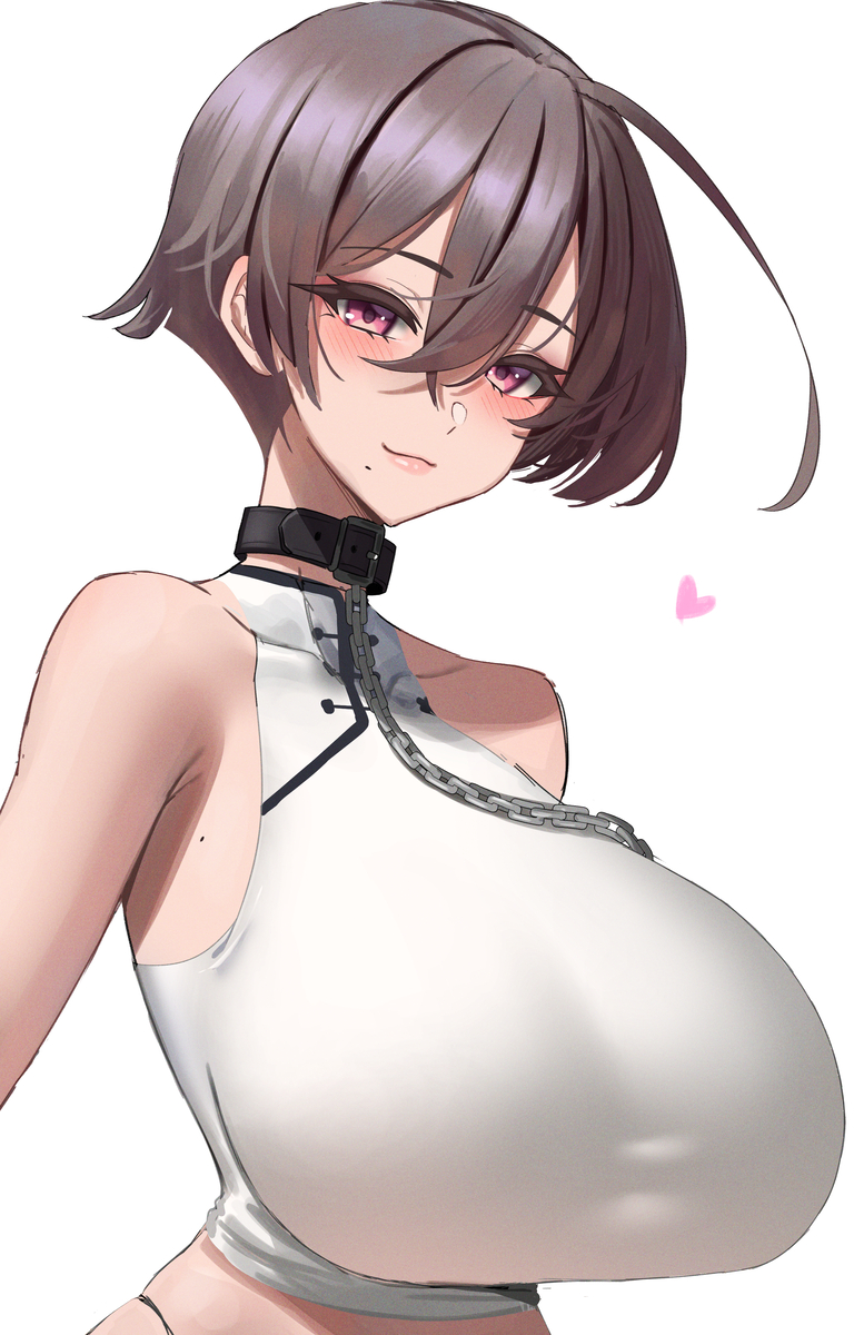 This is a pixiv picture whose title is OC.