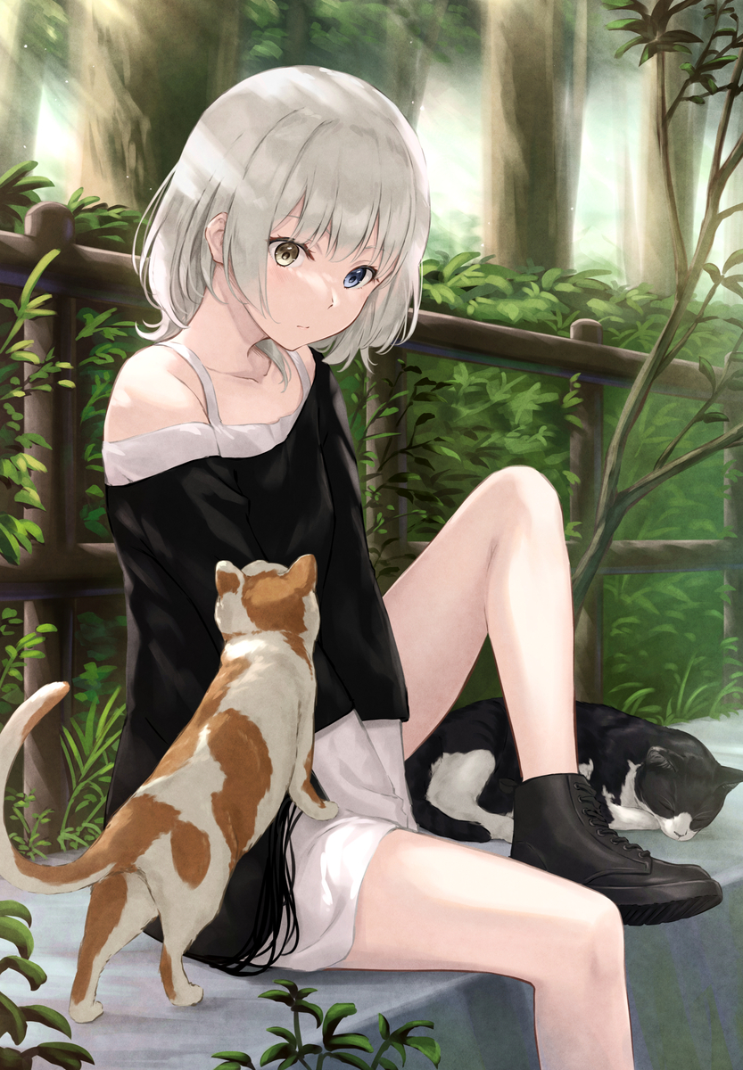 This is a pixiv picture whose title is 野良猫.