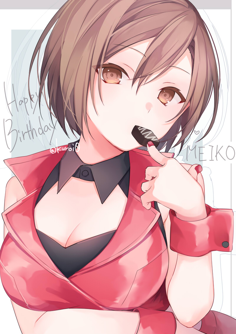 This is a pixiv picture whose title is MEIKO.
